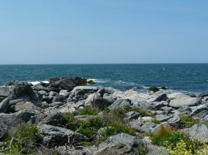 Rocks and ocean at Sachuest