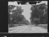 bellevue-1904